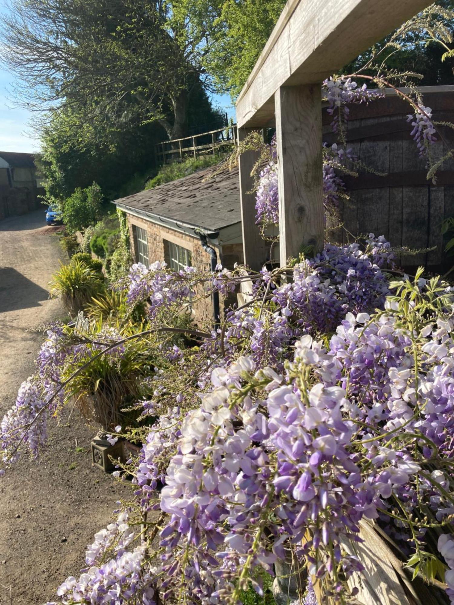 Lavender Cottage Gloucester Zewnętrze zdjęcie